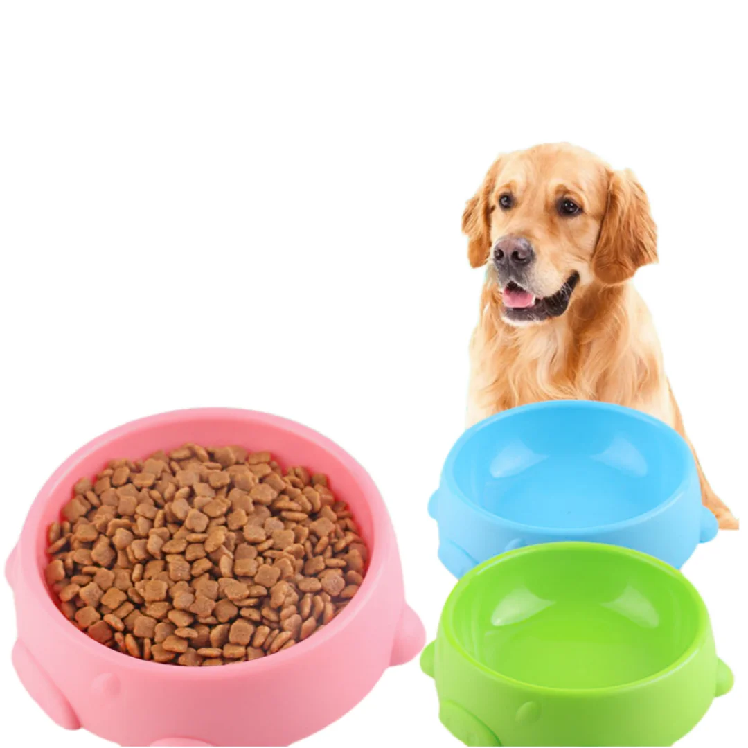 Dog Bowls for Food and Water P - Spicy Food Snacks ulasan dan harga