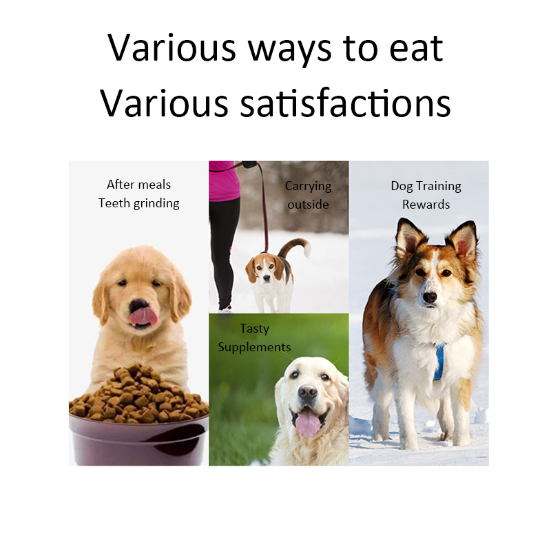 Dog Snacks Teething Stick 120g - Food Snacks Easy ulasan dan harga