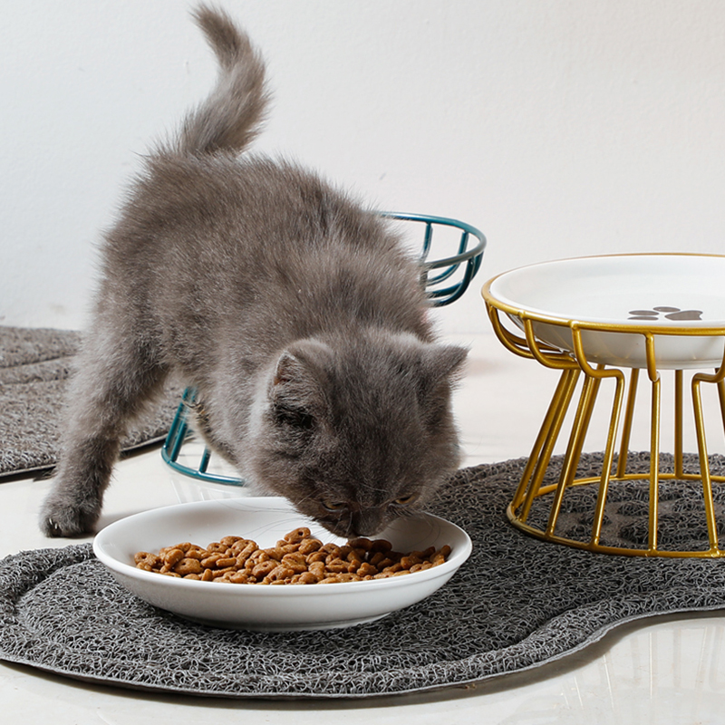 2024 New Pet Ceramic Bowl Iron - Food Snacks To Eat ulasan dan harga