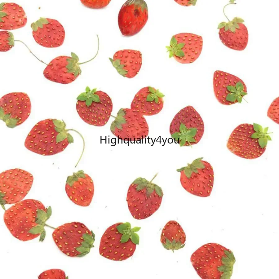10pcs Dried Pressed Mini Fruit - Dried Fruit Mix ulasan dan harga
