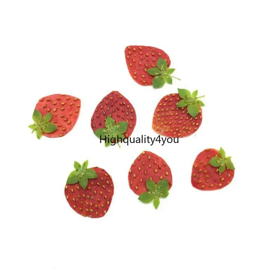 10pcs Dried Pressed Mini Fruit - Dried Fruit Mix ulasan dan harga